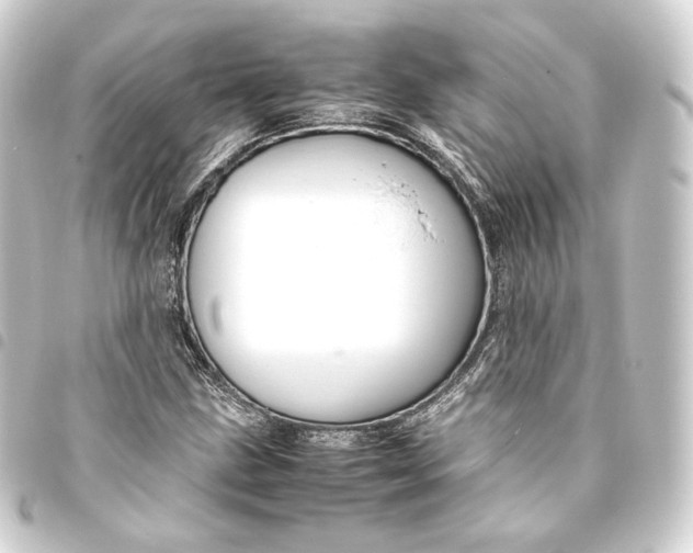 X0000093431211200711021027