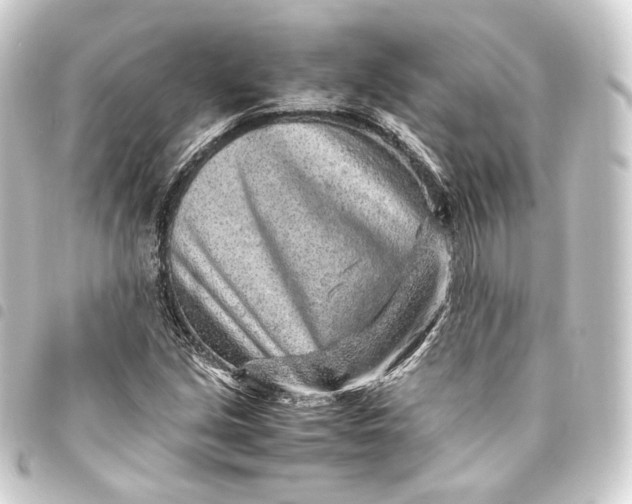 X0000093431213200711021027