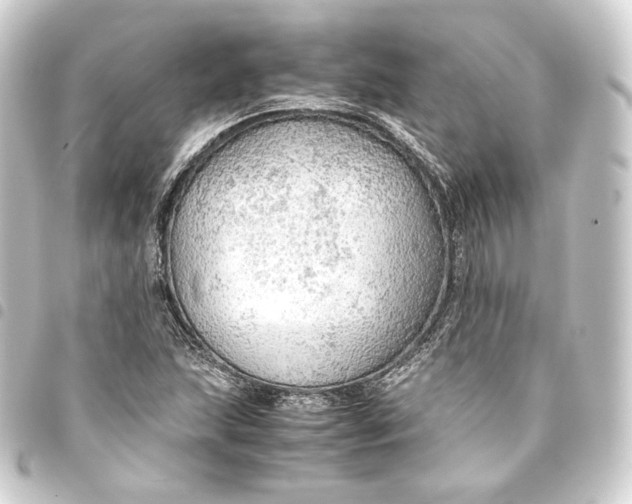 X0000093431215200711021027