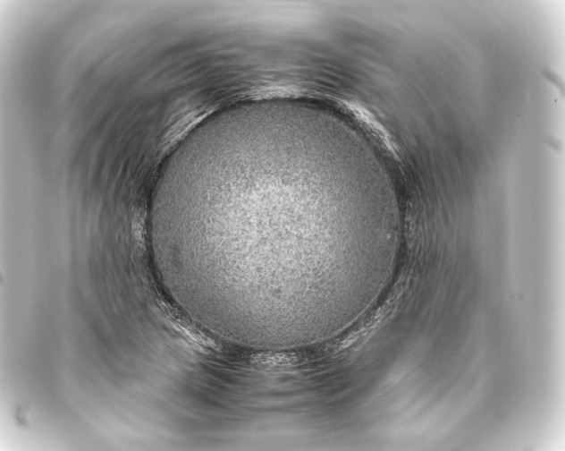 X0000093431217200711021027