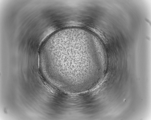 X0000093431219200711021027