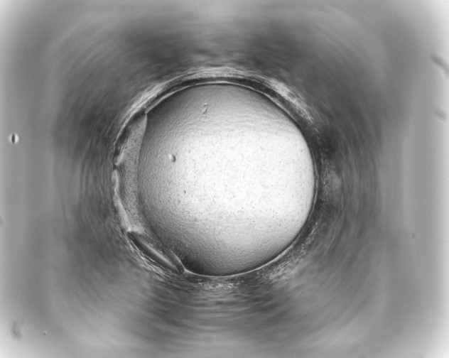 X0000093431221200711021027