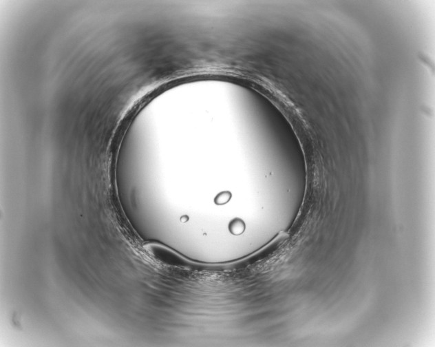 X0000093431222200711021027