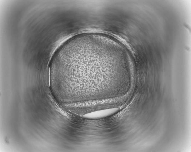 X0000093431223200711021027