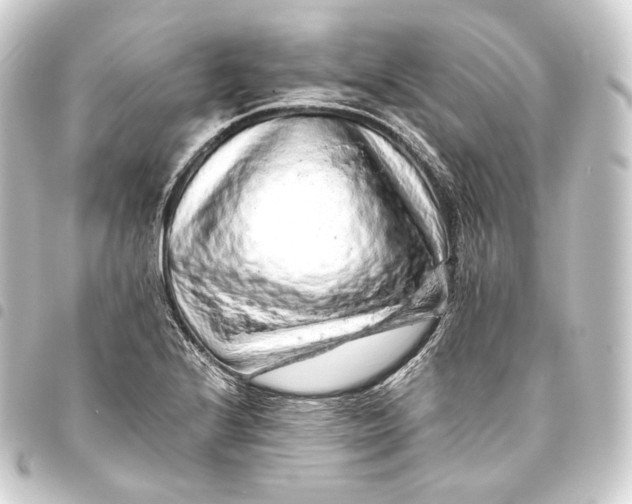 X0000093431224200711021027