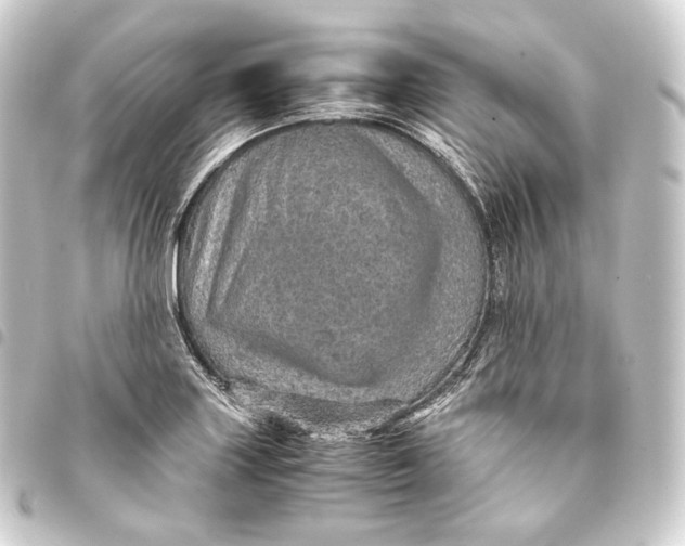 X0000093431227200711021027