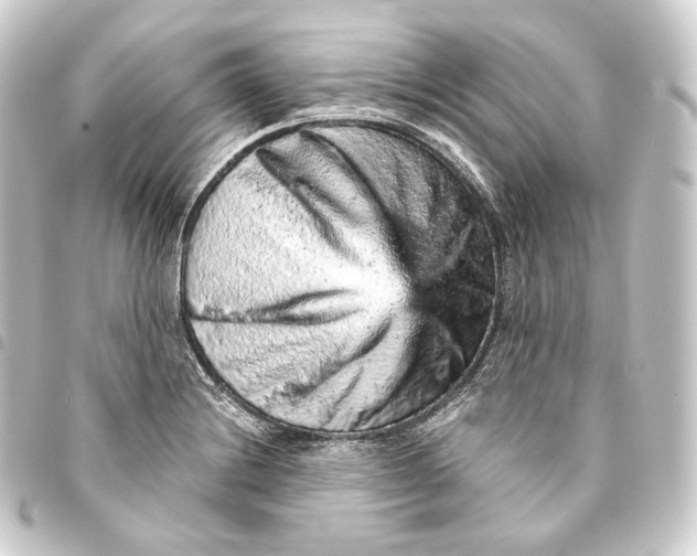 X0000093431228200711021027