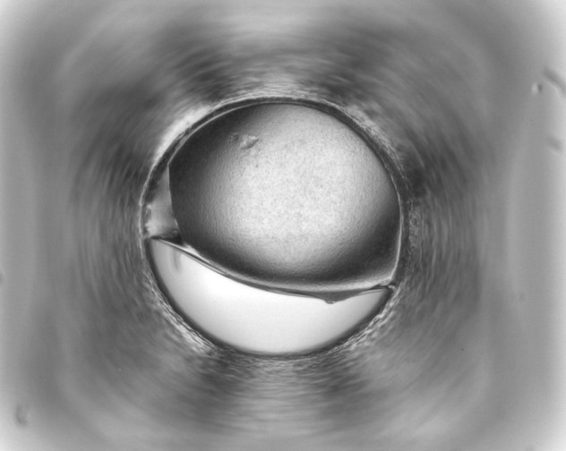 X0000093431230200711021027