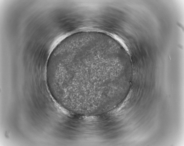 X0000093431231200711021027