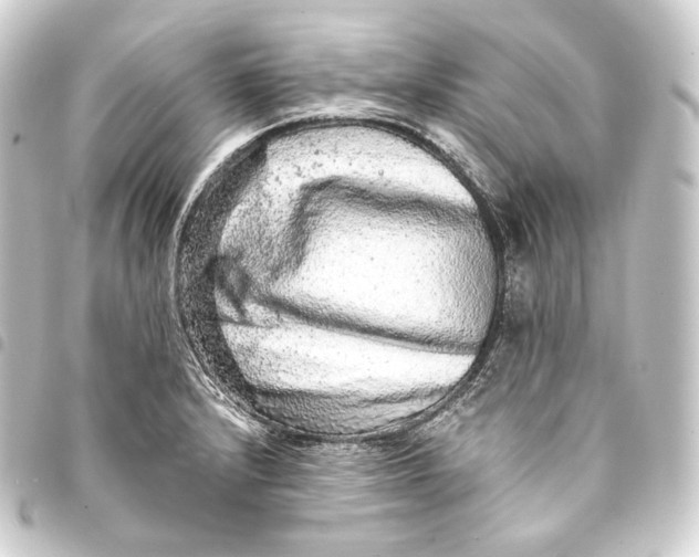 X0000093431232200711021027