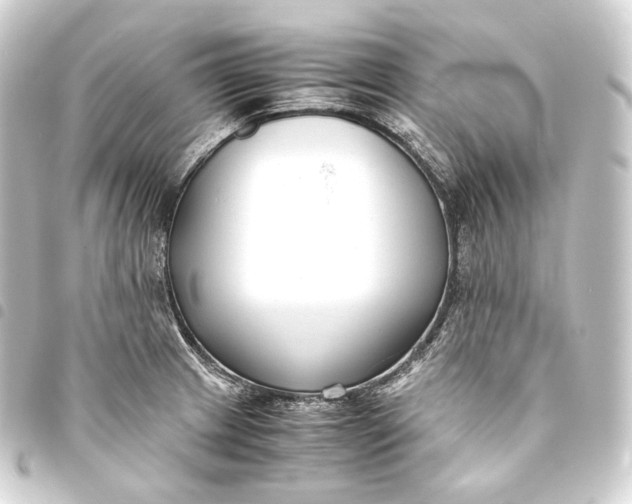 X0000093431233200711021027