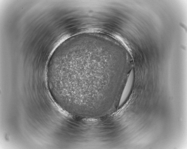 X0000093431235200711021027