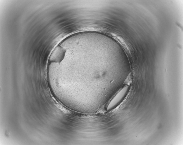 X0000093431236200711021027