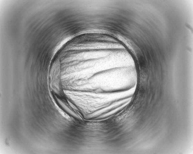 X0000093431237200711021028