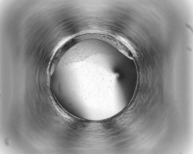 X0000093431238200711021028