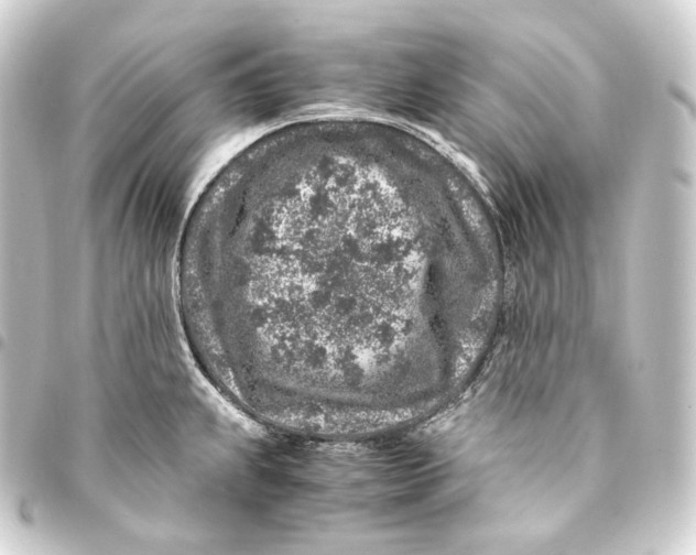 X0000093431239200711021028