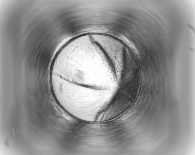 X0000093431240200711021028