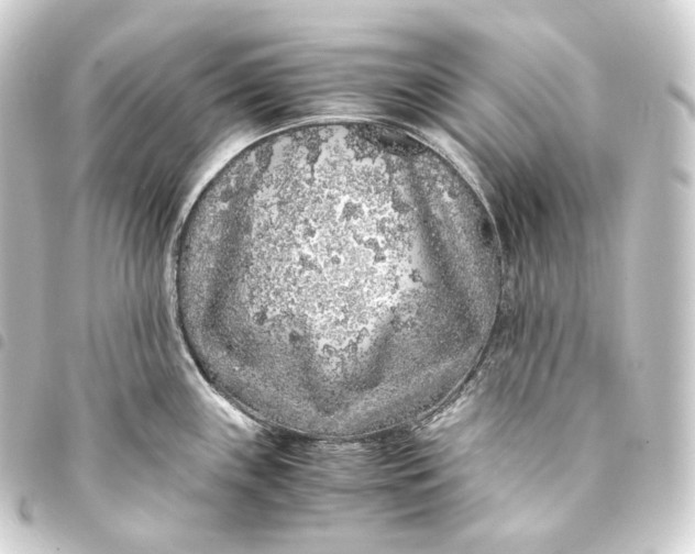 X0000093431243200711021028