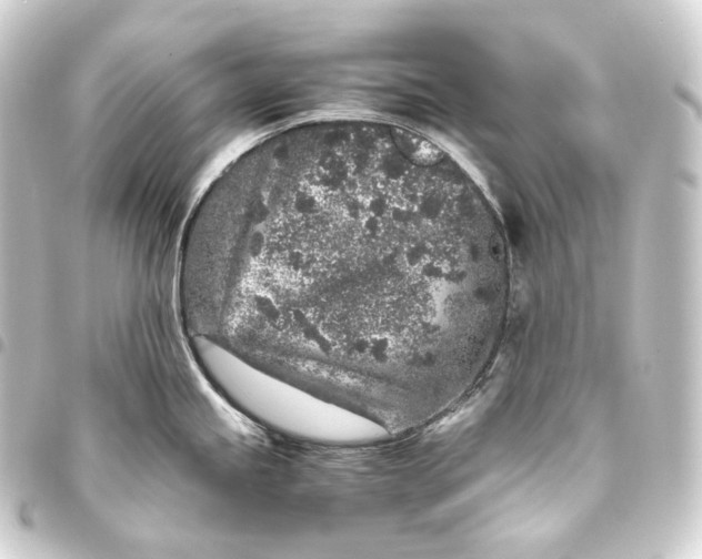 X0000093431245200711021028