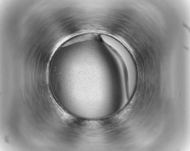 X0000093431246200711021028