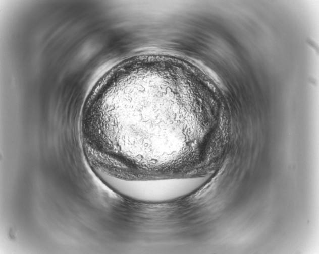 X0000093431247200711021028