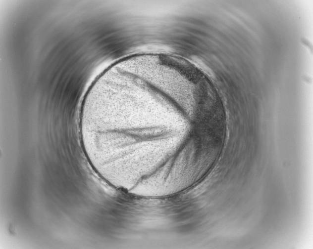 X0000093431248200711021028