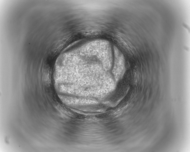 X0000093431250200711021027