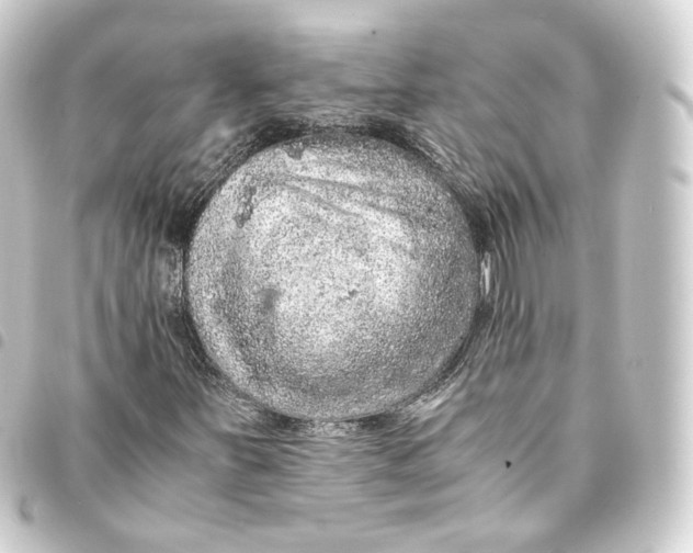 X0000093431251200711021027