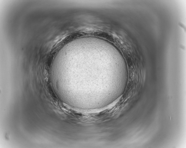 X0000093431253200711021027