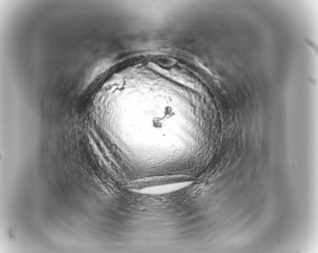 X0000093431255200711021027