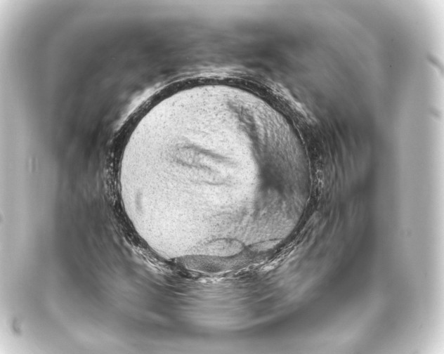 X0000093431256200711021027