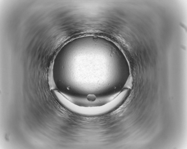 X0000093431257200711021027