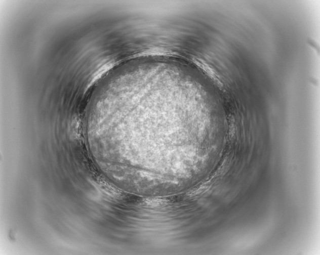 X0000093431258200711021027