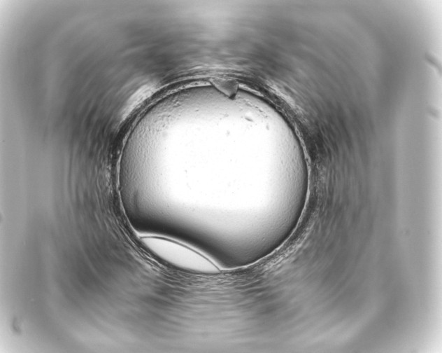 X0000093431259200711021027