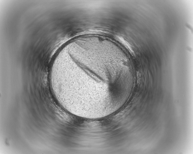 X0000093431260200711021027