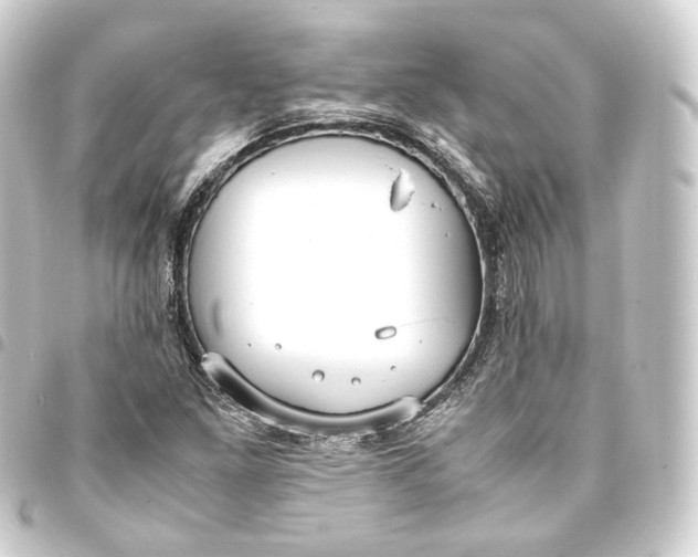 X0000093431261200711021027