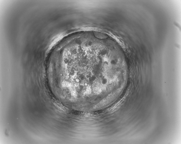 X0000093431263200711021027