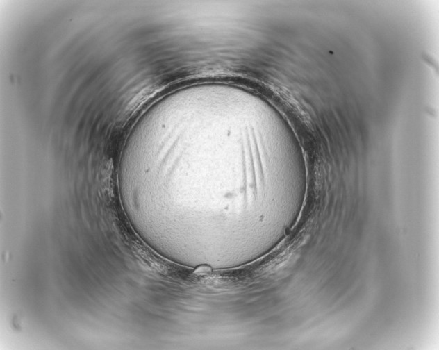 X0000093431265200711021027