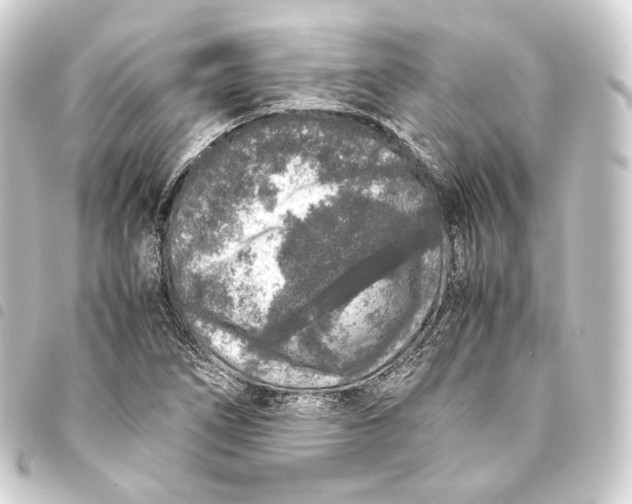 X0000093431266200711021027