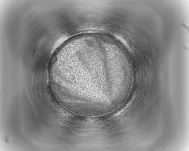 X0000093431267200711021027