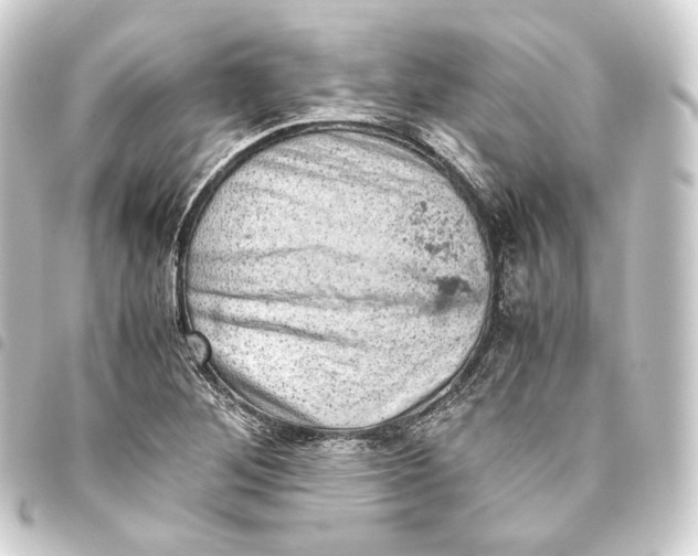 X0000093431268200711021027