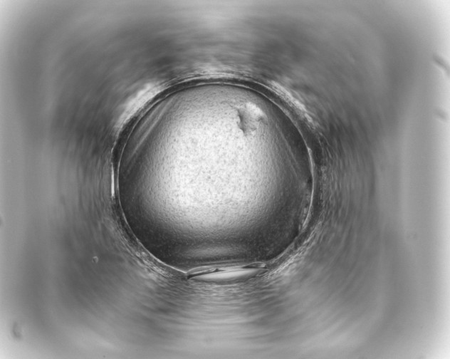 X0000093431269200711021027