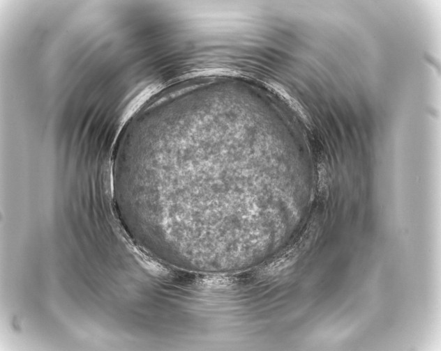 X0000093431274200711021027