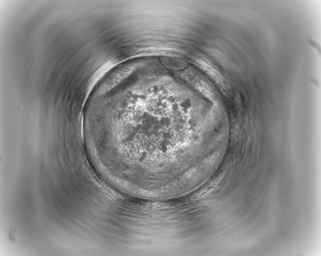 X0000093431275200711021027