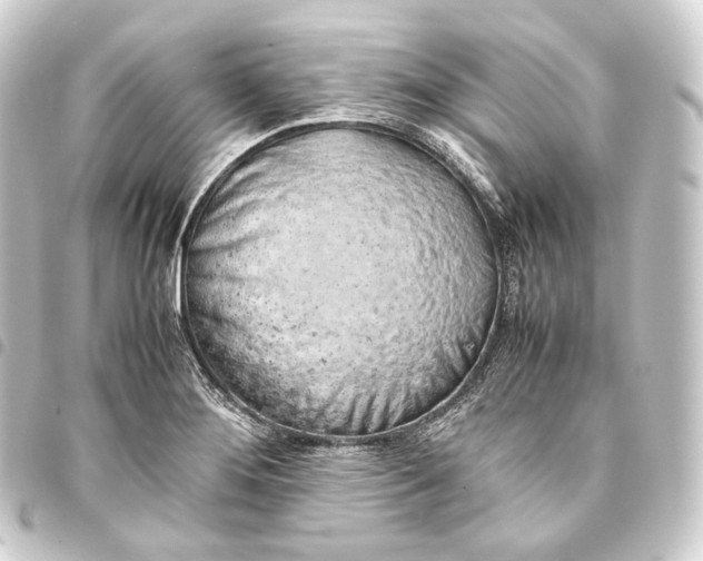 X0000093431276200711021027