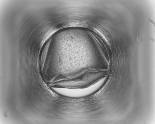 X0000093431277200711021027