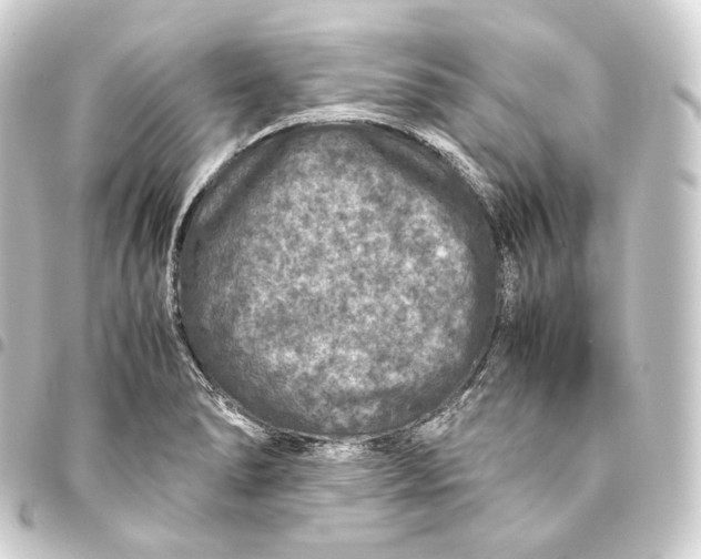 X0000093431278200711021027