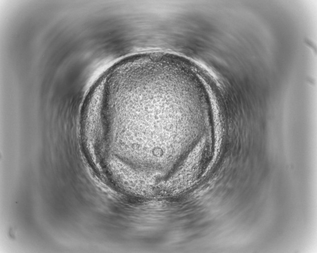 X0000093431279200711021027