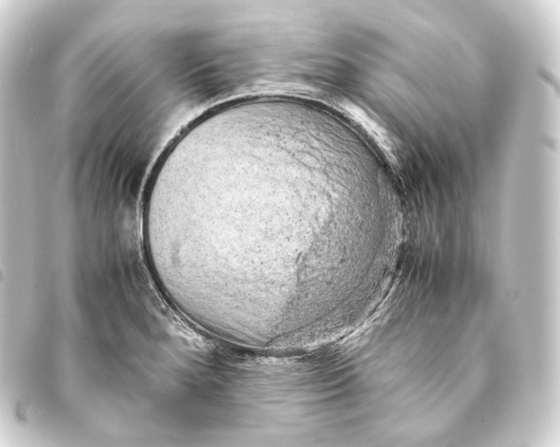 X0000093431280200711021027