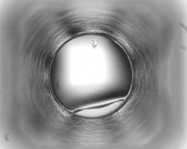 X0000093431281200711021027